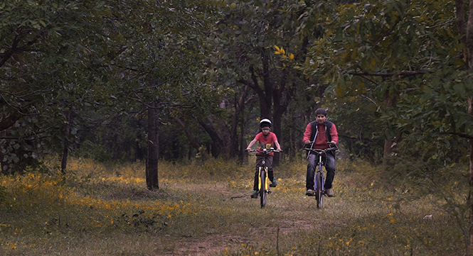 tadoba national park hotel