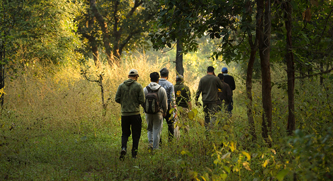 luxury resorts in tadoba