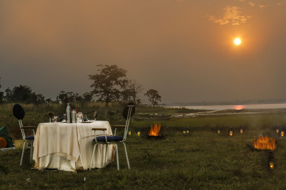 top 5 hotels in tadoba