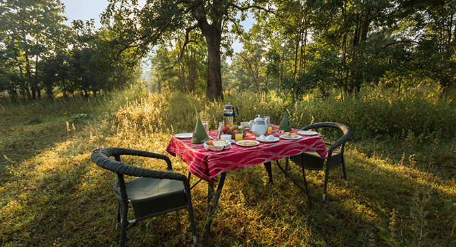 tadoba resorts