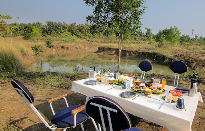 tadoba national park gates