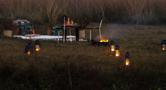 resorts in tadoba andhari tiger reserve