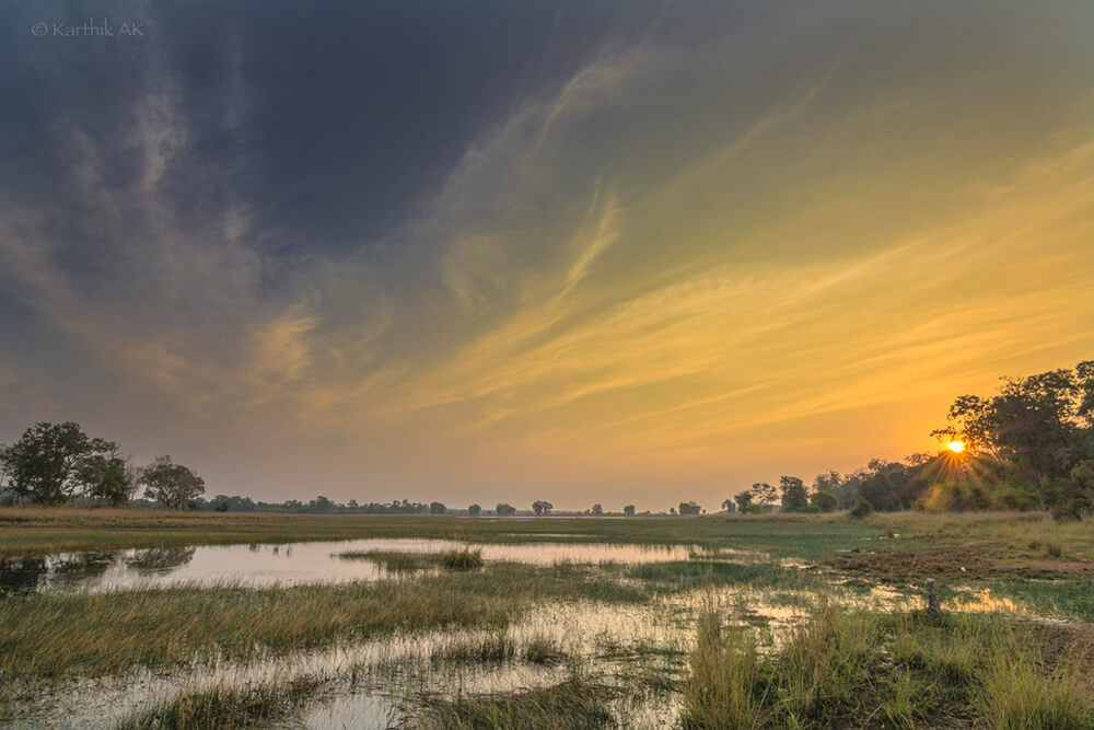 Seasons at Tadoba National Park