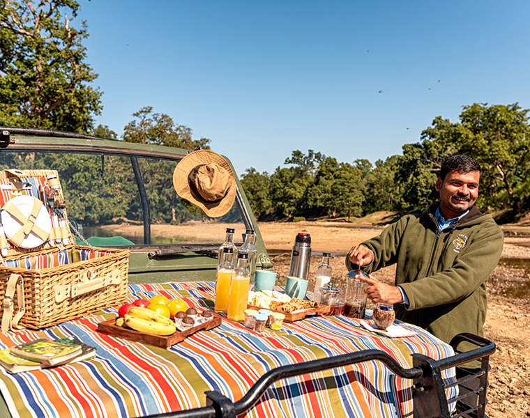 resorts in tadoba chandrapur